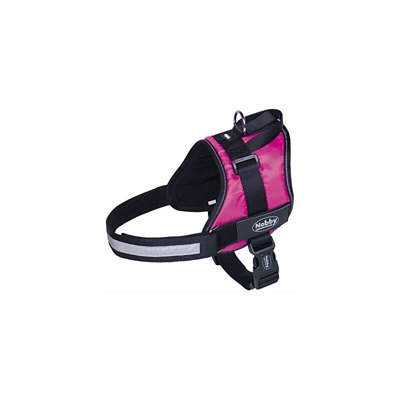 80584Â âÂ 64Â Stoviglie Seguro Lampone Pancia - Nobby