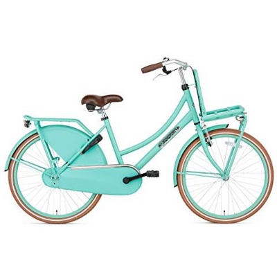 Daily Dutch Basic 24 Pollice 42 Cm Ragazze Freno Contro Pedale Turchese