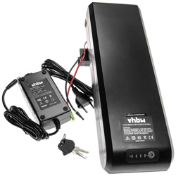 Batteria Per Portapacchi (8,8ah, 36v, Li-ion) Incl. Caricatore Compatibile Con E-bike, Bicicletta Elettrica características