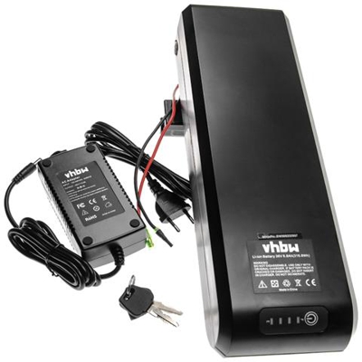 Batteria Per Portapacchi (8,8ah, 36v, Li-ion) Incl. Caricatore Compatibile Con E-bike, Bicicletta Elettrica