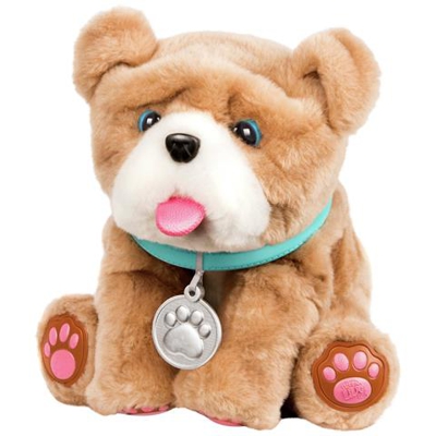 My Loving Puppy Rollie