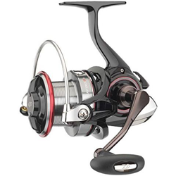 Castizm 25qda características