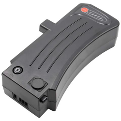 Batteria Per Prophete Modelljahr 2014 52404, 52414 E-bike, Bici Elettrica (11600mah, 24v, Li-ion) en oferta