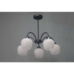 Lampadario Pendente Nero 5 Portalampada E27 Da Soffitto - Mille Lucciole - ASIA LED precio