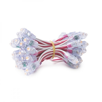 Pixel LED 9Mm 0,1W 5V Epistar (Chain 50 Pezzi) Viola | Viola (DE-PIX-9-A) - GREENICE