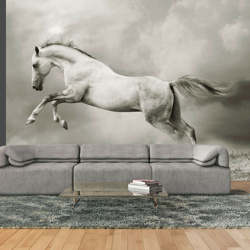 Fotomurale - Stallone selvaggio - 350x270 características