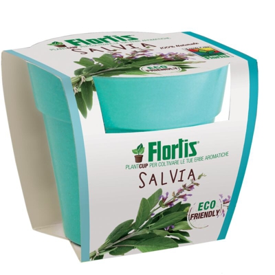 VASETTO PLANTCUP DI SALVIA IN FIBRA BAMBOO GIARDINAGGIO PIANTE FIORI - Flortis