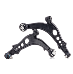 RIDEX Kit riparazione, Braccio trasversale 772S0237  LANCIA,FIAT,YPSILON (843),MUSA (350),Idea (350_) precio