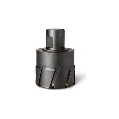 Fein 63502223250 - Lama per sega E-Cut universale BIM Starlock 55 x 44 mm, confezione da 50