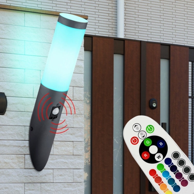 Etc-shop - Lampada da parete REMOTE CONTROL Lampada da torcia da giardino in acciaio inossidabile dimmerabile in set con illuminazione a LED RGB