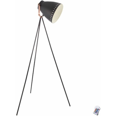 Etc-shop - Lampada da terra a distanza residenziale stanza di lavoro di legge launcher oscurato nel set tra cui le lampade a LED RGB