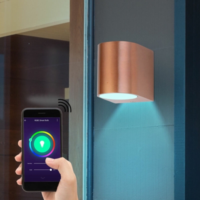 Etc-shop - Faretto da parete per la casa intelligente down light App Google Alexa vocale lampada di controllo del telefono cellulare dimmerabile con