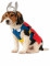 Travestimento per cani Thor™