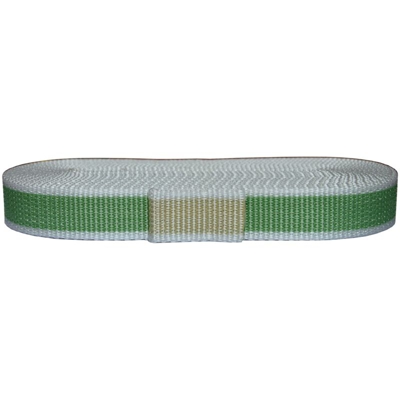 006041832 Cintino per tapparelle, colore Beige/Verde Chiaro, in Polipropilene, 22 mm, 5,5 mt - Corderie Italiane