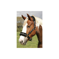 Rhinegold Logo Headcollar Fleece Trim-Shet-Black, Copricapo in Pile Nero Unisex-Adulto, Shetland precio