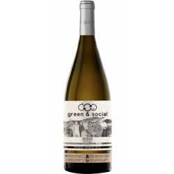 GREEN & SOCIAL ORGANIC VERDEJO 2019 - CUATRO RAYAS precio