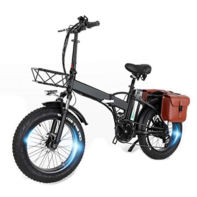 GW20 20 pollici Mountain bike portatile, 750W E-bike pieghevole, Fat Bike da neve a 7 velocità, Batteria da 48V ad alta capacità (24Ah borsa + 1 batte