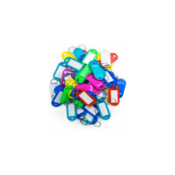 1200A Confezione da 50 Pezzi di Targhette Portachiavi in plastica, con Anello ed Etichetta, Assortiti - Kippen en oferta