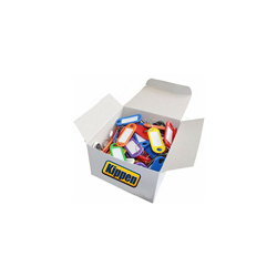 1200B Confezione da 100 Pezzi di Targhette Portachiavi in plastica, con anello ed etichetta, Assortiti - Kippen en oferta