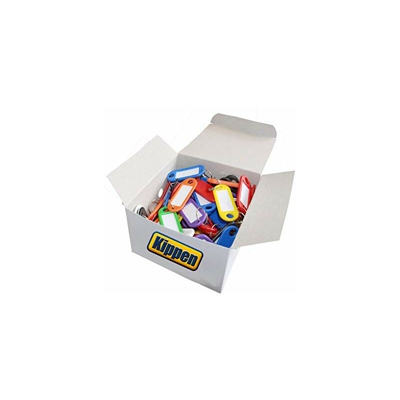 1200B Confezione da 100 Pezzi di Targhette Portachiavi in plastica, con anello ed etichetta, Assortiti - Kippen