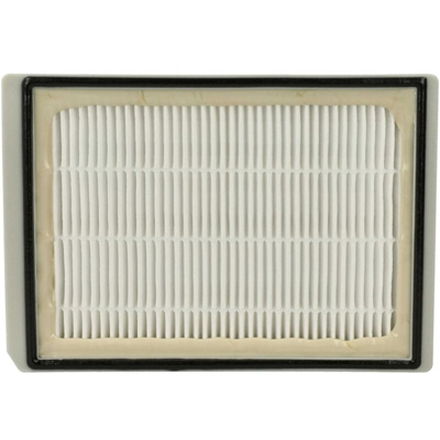 vhbw Filtro sostitutivo Hepa Allergie per Aspirapolvere Siemens Bosch BBZ8SF1, BSA-Serie, BSA100003, BSA110005, BSA110105, BSA225002 come VZ54000.