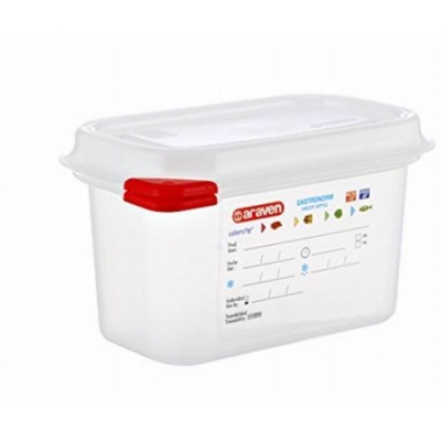 Bighouse It - CONTENIT. GASTRONORM GN1/9 CM.17,6X10,8X10h