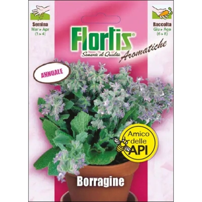 Borragine - ORVITAL SPA - SEMI