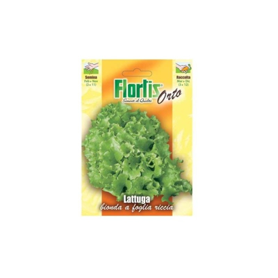 Lattughino Biondo a Foglia Riccia - ORVITAL SPA - SEMI