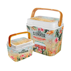 Life Story Cooler Box Frigo, Isolata, Portatile, Maniglia per Il Trasporto, Sistema di Blocco, Fatto in Francia, 6 L precio