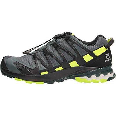 SALOMON XA PRO 3D v8 GTX, Scarpe da Trail Running Uomo, Grigio (Urban Chic/Black/Lime Punch), 42 EU