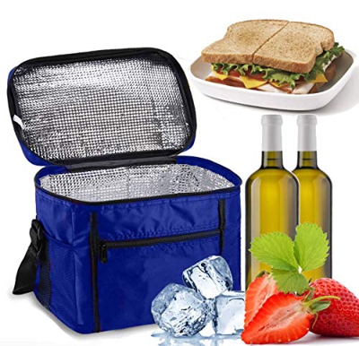 Sinwind Borsa Termica, Borsa Termica Porta Pranzo 10L Frigo Isoterma per Alimenti Mantenere Caldo o Freddo per PIC-nic/All'aperto/Barbecue/Campeggio/E