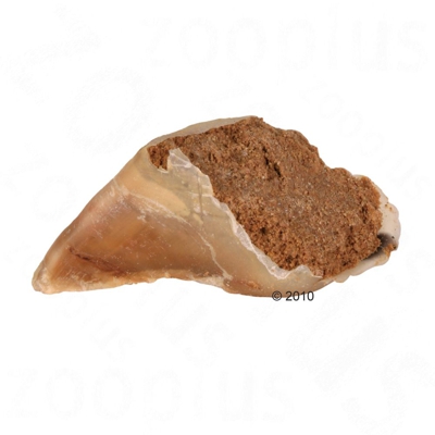 Trixie unghie di manzo ripiene Set %: 10 pz da 115 g