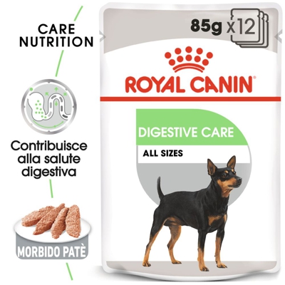 Royal Canin Digestive Care umido - 12 x 85 g