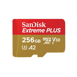 256GB Extreme Plus microSDXC memoria flash Classe 10 - Sandisk características