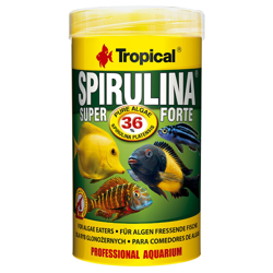 Tropical Super Spirulina Forte 36% - 5 l en oferta