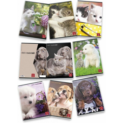 Pigna Dolci Cuccioli características