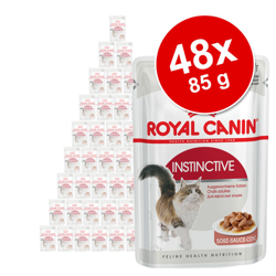 Royal Canin 48 x 85 g - Kitten Mousse precio