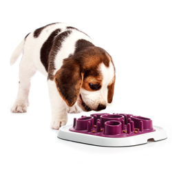 Gioco Savic Quiz - S: L 31,5 x P 31,5 x H 6,4 cm (vinaccia) en oferta