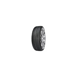 GRIPMAX 265/40 R 20 104V Status Pro W XL características