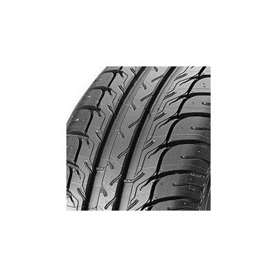 G-grip (225/55 R16 99w Xl)