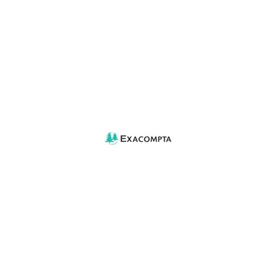 1112E divisore Cartone Bianco - Exacompta