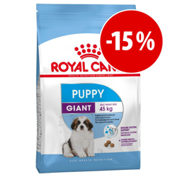 Prezzo speciale! Royal Canin Size - 3 kg  Mini Starter Mother & Babydog características
