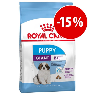 Prezzo speciale! Royal Canin Size - 3 kg  Mini Starter Mother & Babydog