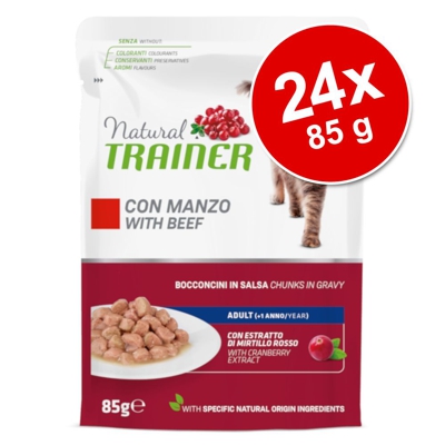 Natural Trainer Adult 24 x 85 g - con Salmone