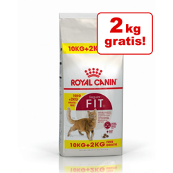 10 kg + 2 kg - Royal Canin Feline Overfill - Maine Coon Adult características