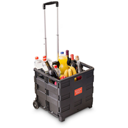 Relaxdays - Carrello Porta Spesa, Plastica, Nero, con misure H X L X B: 39 x 42 x 37 cm, portata 35 kg características