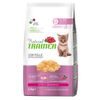 Trainer Natural Kitten - 1,5 kg características