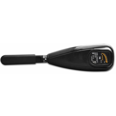 Motore di Pesca a Traina Elettrico P16 36 lb