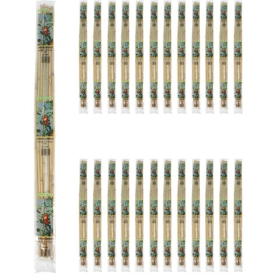 Verdemax 50 tutori canna in bamboo ciascuno con altezza 210 centimetri diametro 16-18 mm