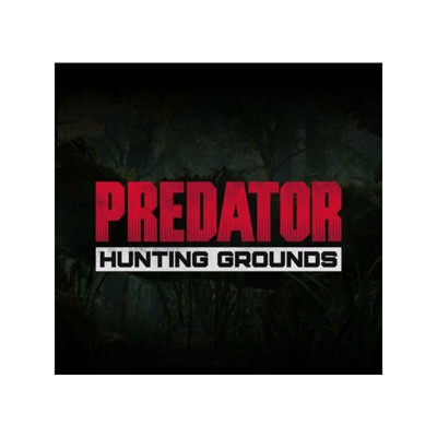Sony Predator: Hunting Grounds videogioco PlayStation 4 Basic